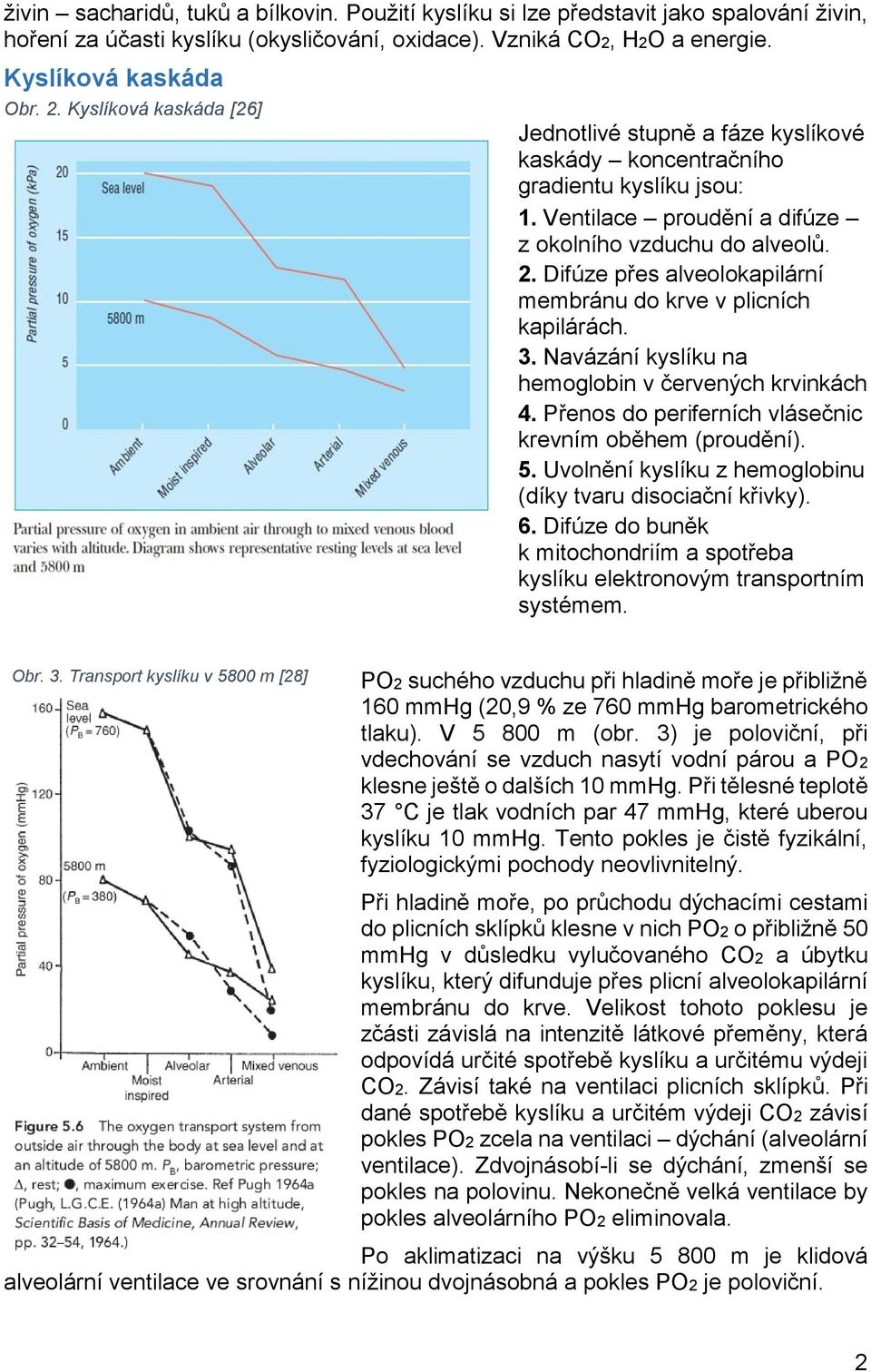 Difúze přes alveolokapilární membránu do krve v plicních kapilárách. 3. Navázání kyslíku na hemoglobin v červených krvinkách 4. Přenos do periferních vlásečnic krevním oběhem (proudění). 5.