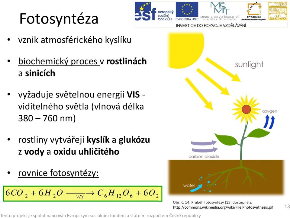 glukózu z vody a oxidu uhličitého rovnice fotosyntézy: 6CO + O VIS 2 + 6 H 2O C 6 H 12 O 6 6 2