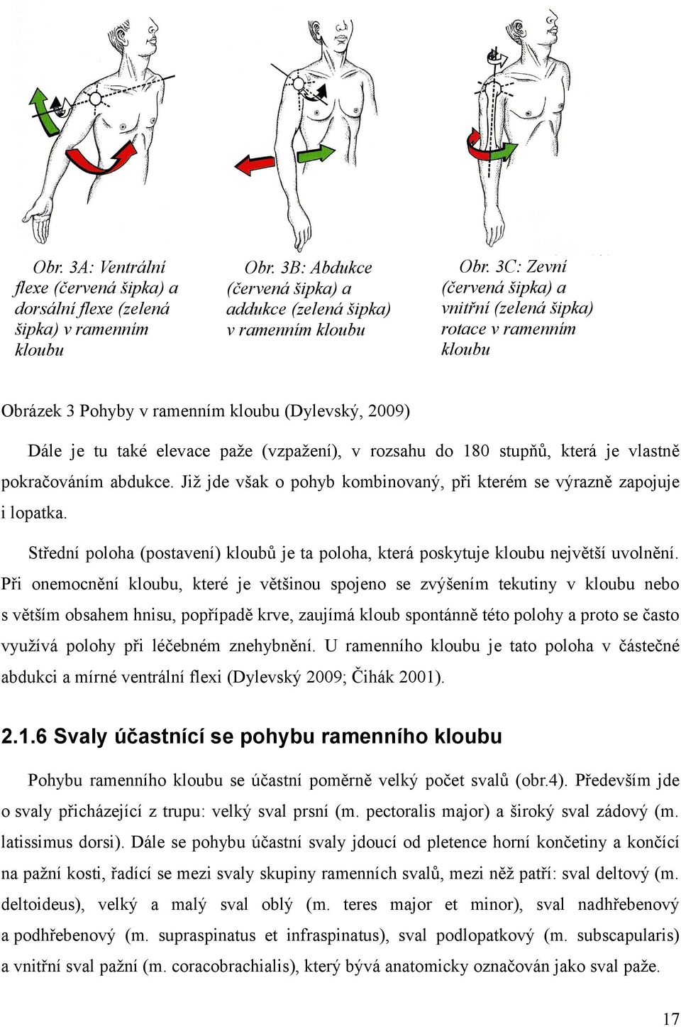 je vlastně pokračováním abdukce. Již jde však o pohyb kombinovaný, při kterém se výrazně zapojuje i lopatka. Střední poloha (postavení) kloubů je ta poloha, která poskytuje kloubu největší uvolnění.