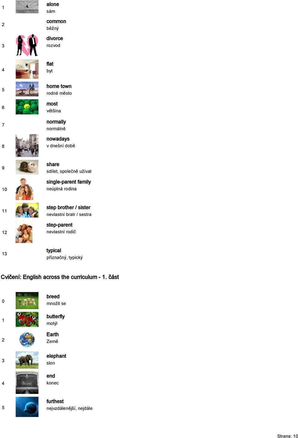 bratr / sestra step-parent nevlastní rodič typical příznačný, typický Cvičení: English across the curriculum -.