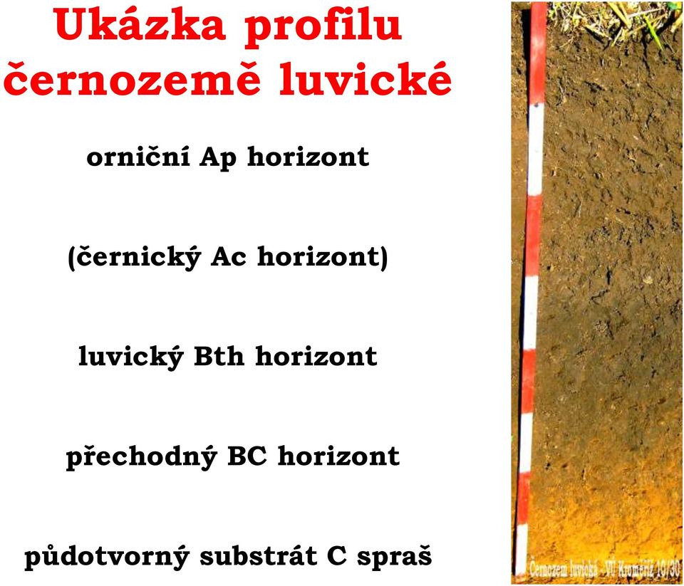 horizont) luvický Bth horizont