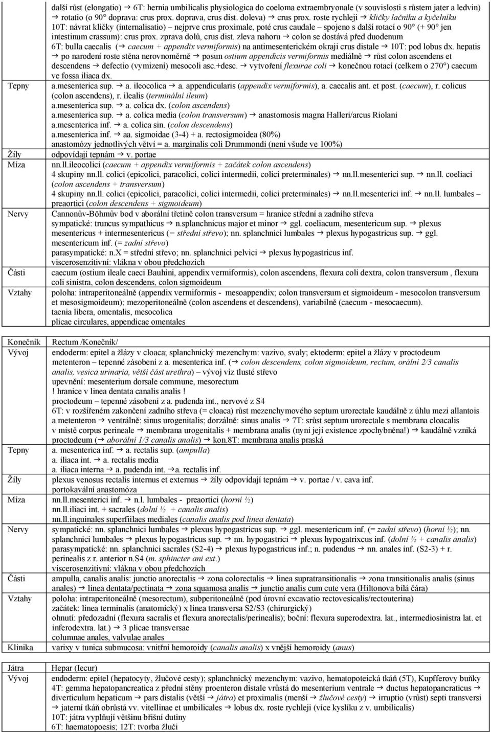 zprava dolů, crus dist. zleva nahoru colon se dostává před duodenum 6T: bulla caecalis ( caecum + appendix vermiformis) na antimesenterickém okraji crus distale 10T: pod lobus dx.