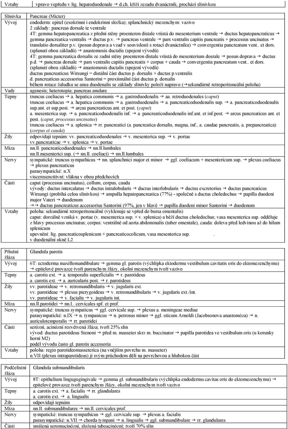 hepatopancreatica z přední stěny proenteron distale vrůstá do mesenterium ventrale ductus hepatopancraticus gemma pancreatica ventralis ductus p.v. pancreas ventrale pars ventralis capitis pancreatis + processus uncinatus translatio dorsaliter p.