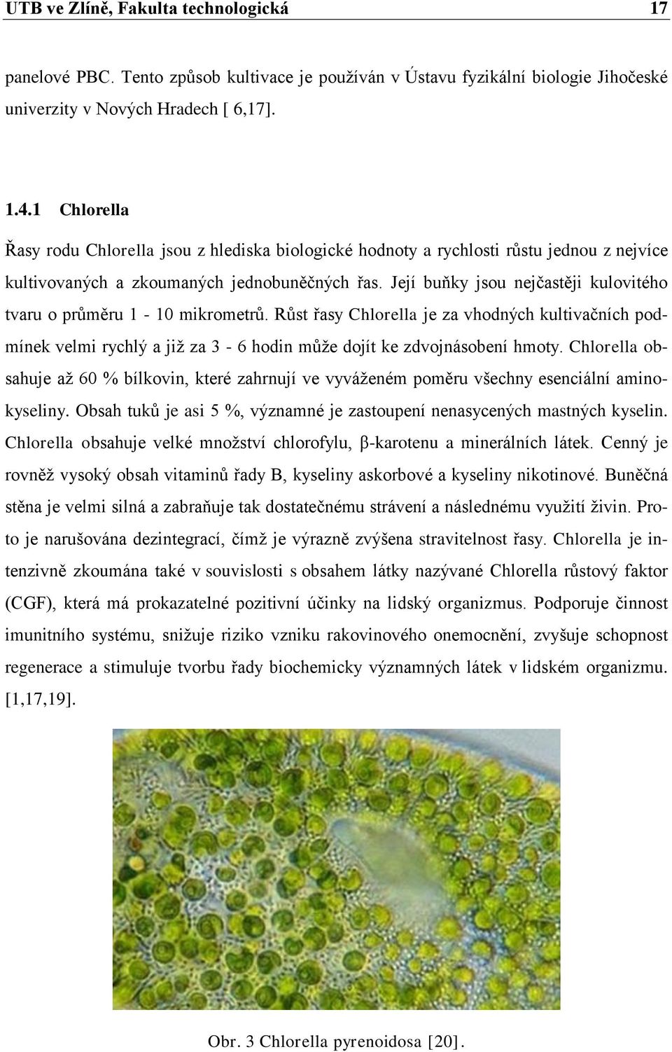 Její buňky jsou nejčastěji kulovitého tvaru o průměru 1-10 mikrometrů. Růst řasy Chlorella je za vhodných kultivačních podmínek velmi rychlý a jiţ za 3-6 hodin můţe dojít ke zdvojnásobení hmoty.