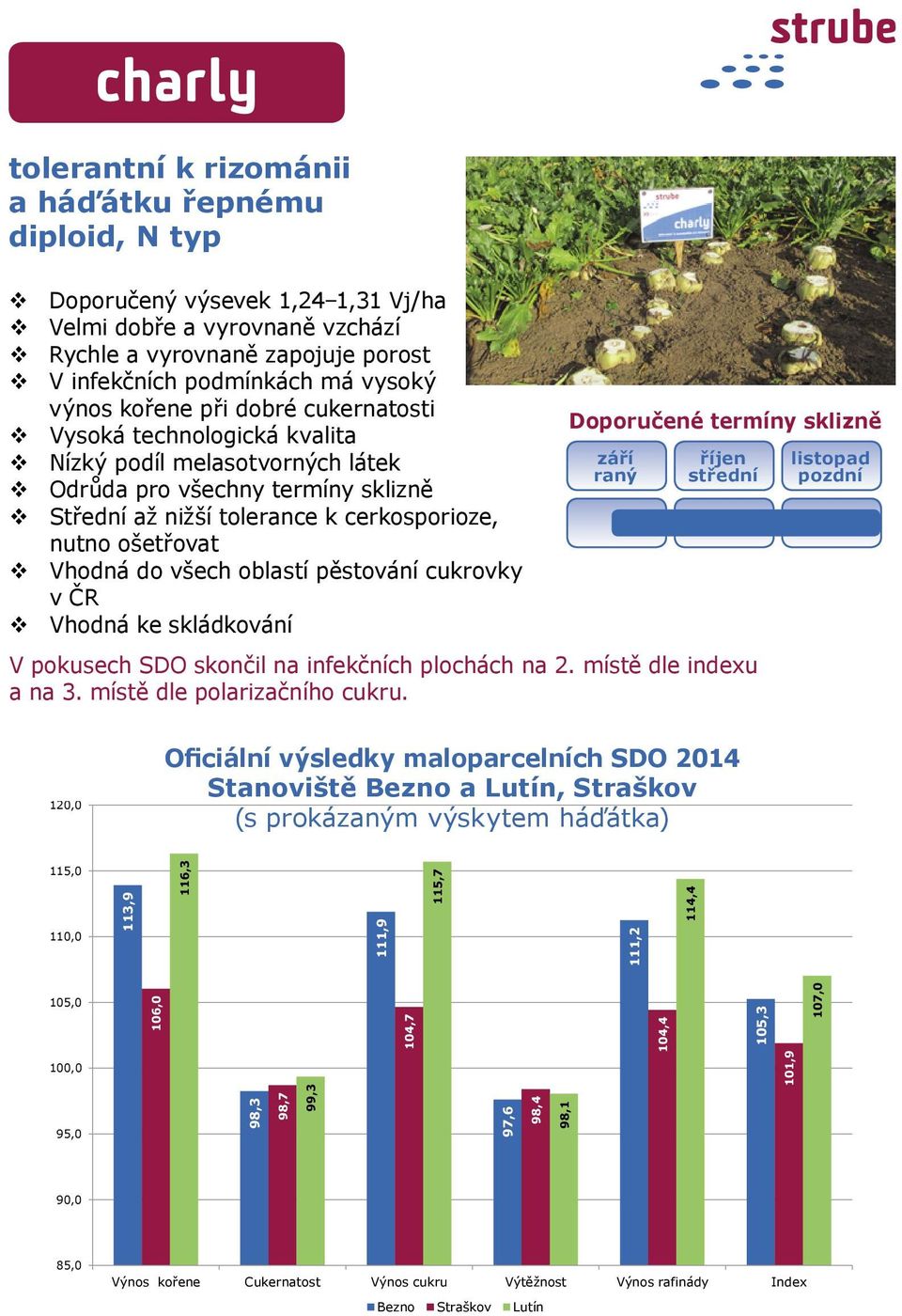 pěstování cukrovky v ČR Vhodná ke skládkování Doporučené termíny sklizně září raný říjen střední V pokusech SDO skončil na infekčních plochách na 2. místě dle indexu a na 3.