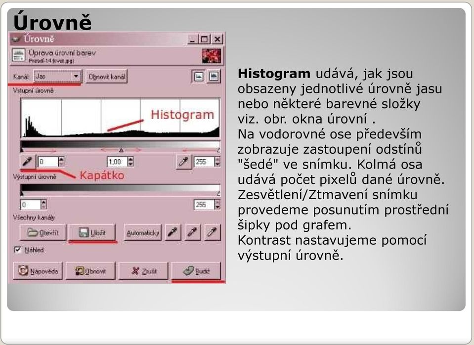 Na vodorovné ose především zobrazuje zastoupení odstínů "šedé" ve snímku.