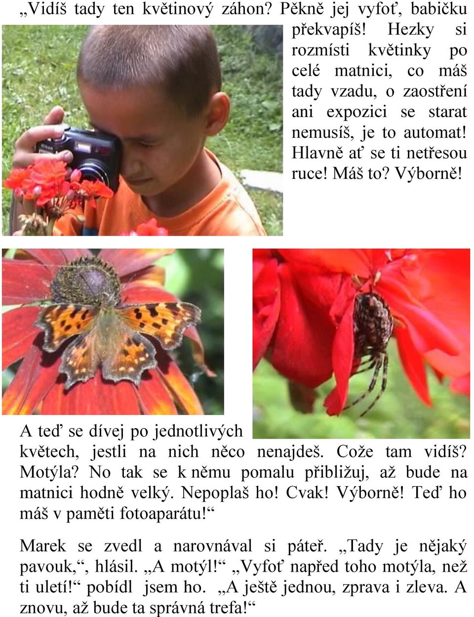 Výborně! A teď se dívej po jednotlivých květech, jestli na nich něco nenajdeš. Cože tam vidíš? Motýla?