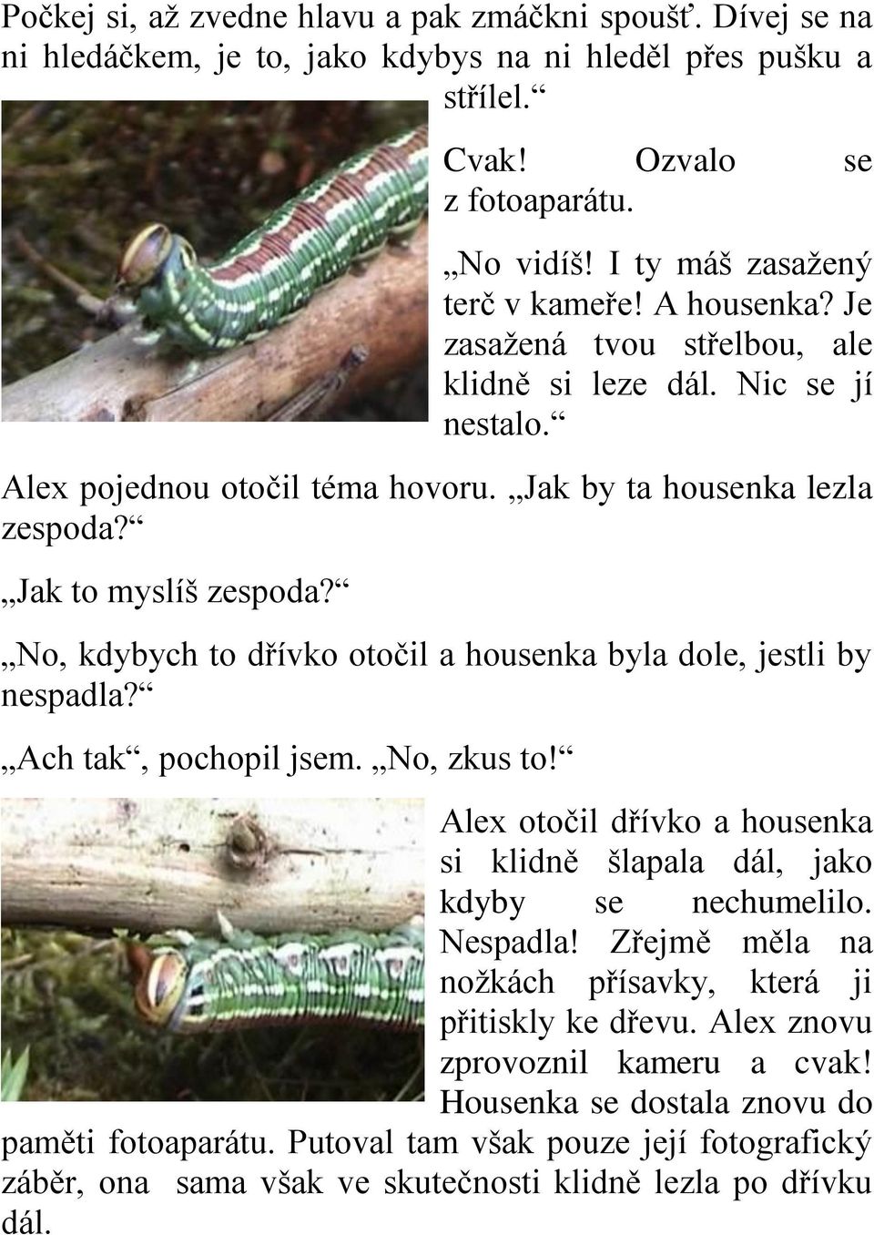 Jak to myslíš zespoda? No, kdybych to dřívko otočil a housenka byla dole, jestli by nespadla? Ach tak, pochopil jsem. No, zkus to!