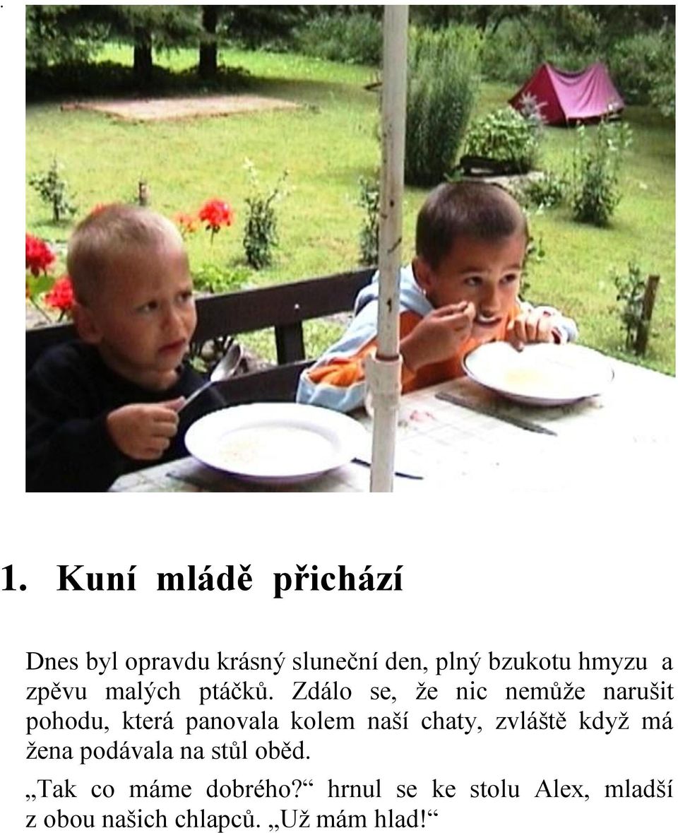 Zdálo se, že nic nemůže narušit pohodu, která panovala kolem naší chaty,