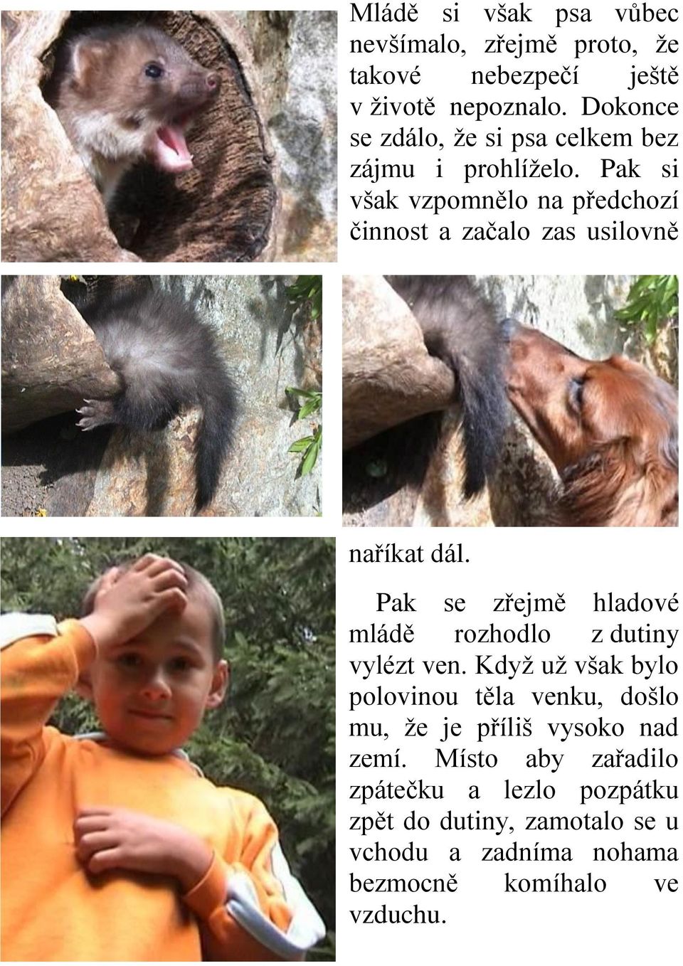 Pak si však vzpomnělo na předchozí činnost a začalo zas usilovně naříkat dál.