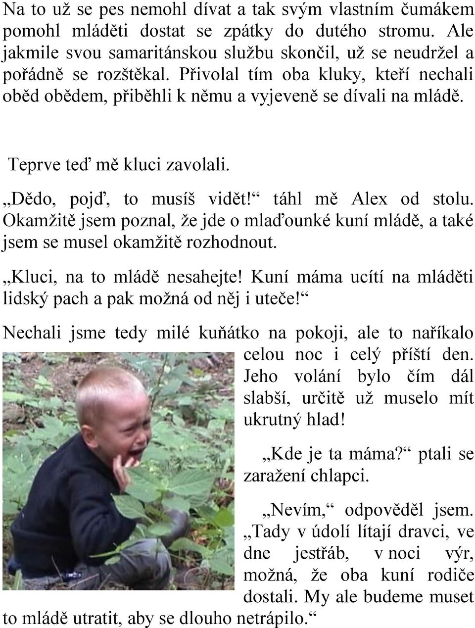 Okamžitě jsem poznal, že jde o mlaďounké kuní mládě, a také jsem se musel okamžitě rozhodnout. Kluci, na to mládě nesahejte! Kuní máma ucítí na mláděti lidský pach a pak možná od něj i uteče!