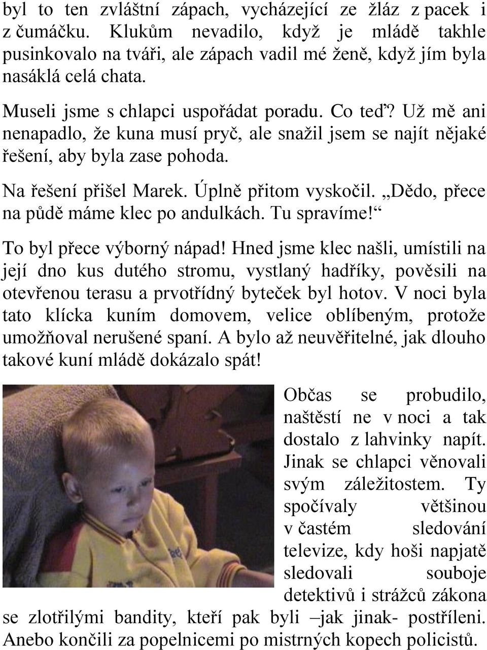 Dědo, přece na půdě máme klec po andulkách. Tu spravíme! To byl přece výborný nápad!