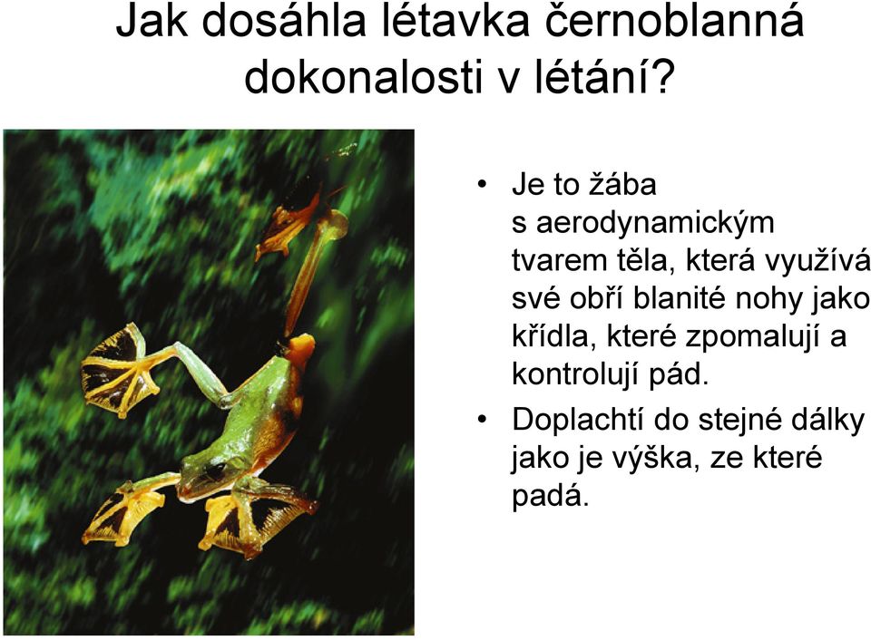 obří blanité nohy jako křídla, které zpomalují a