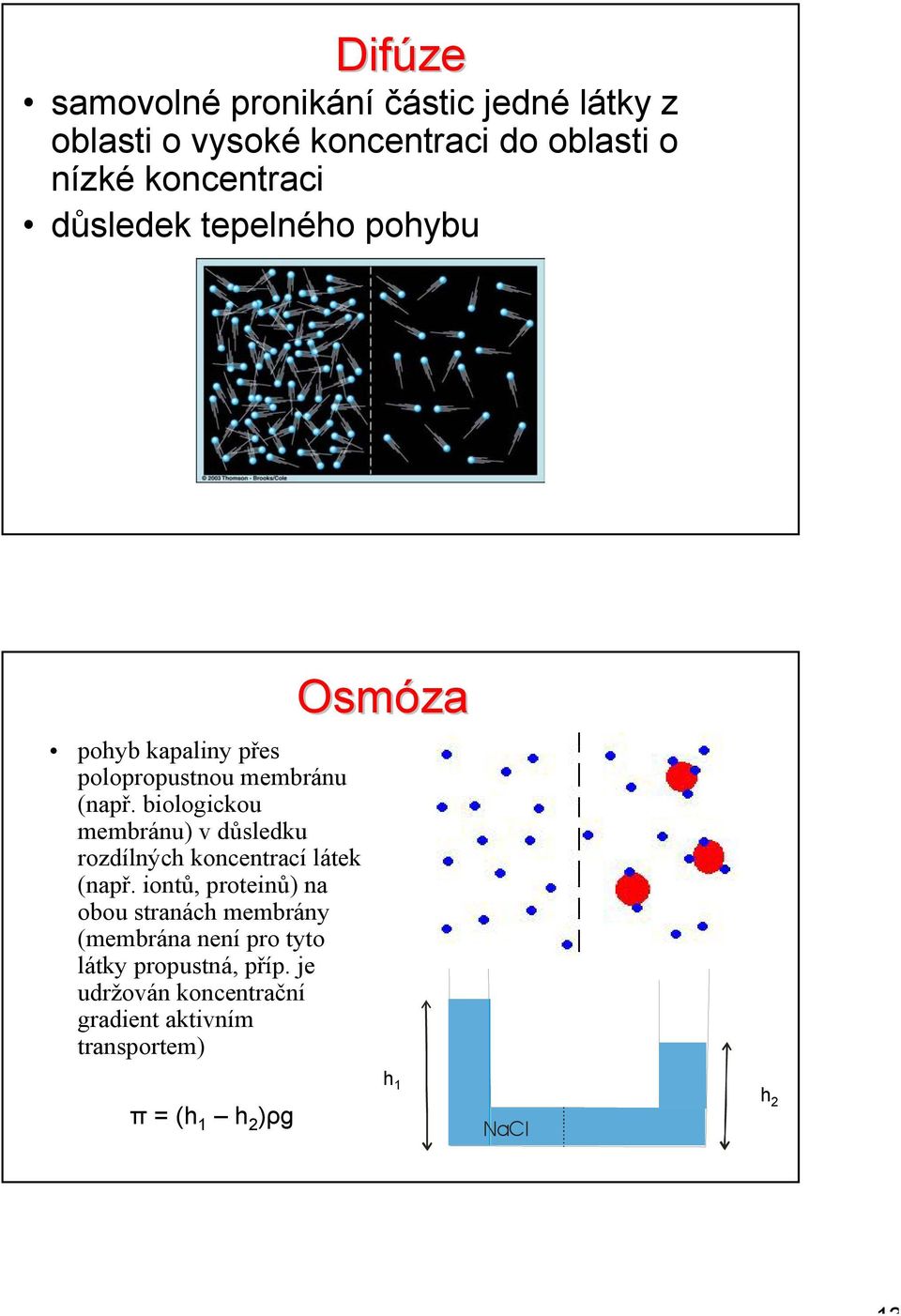 membránu) v důsledku rozdílných koncentrací látek (např iontů, proteinů) na obou stranách membrány