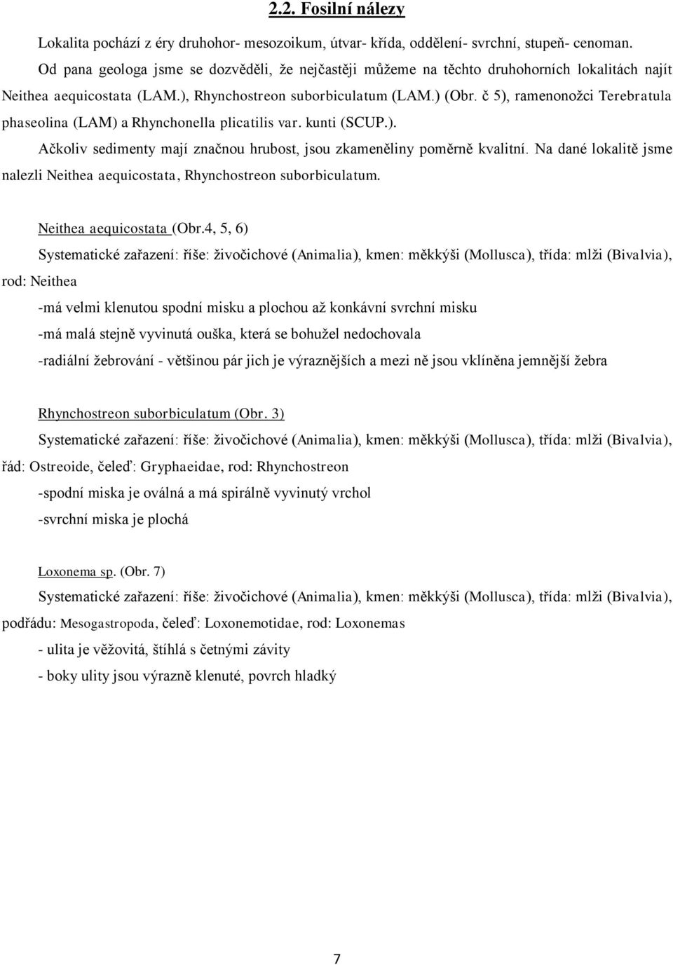 č 5), ramenonožci Terebratula phaseolina (LAM) a Rhynchonella plicatilis var. kunti (SCUP.). Ačkoliv sedimenty mají značnou hrubost, jsou zkameněliny poměrně kvalitní.