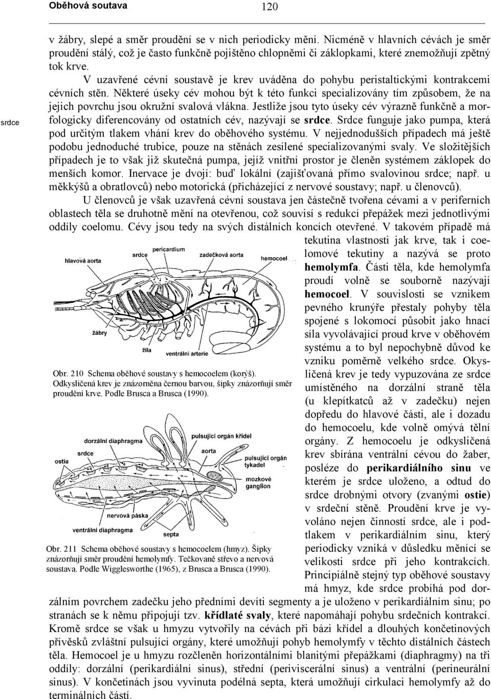 V uzavřené cévní soustavě je krev uváděna do pohybu peristaltickými kontrakcemi cévních stěn.