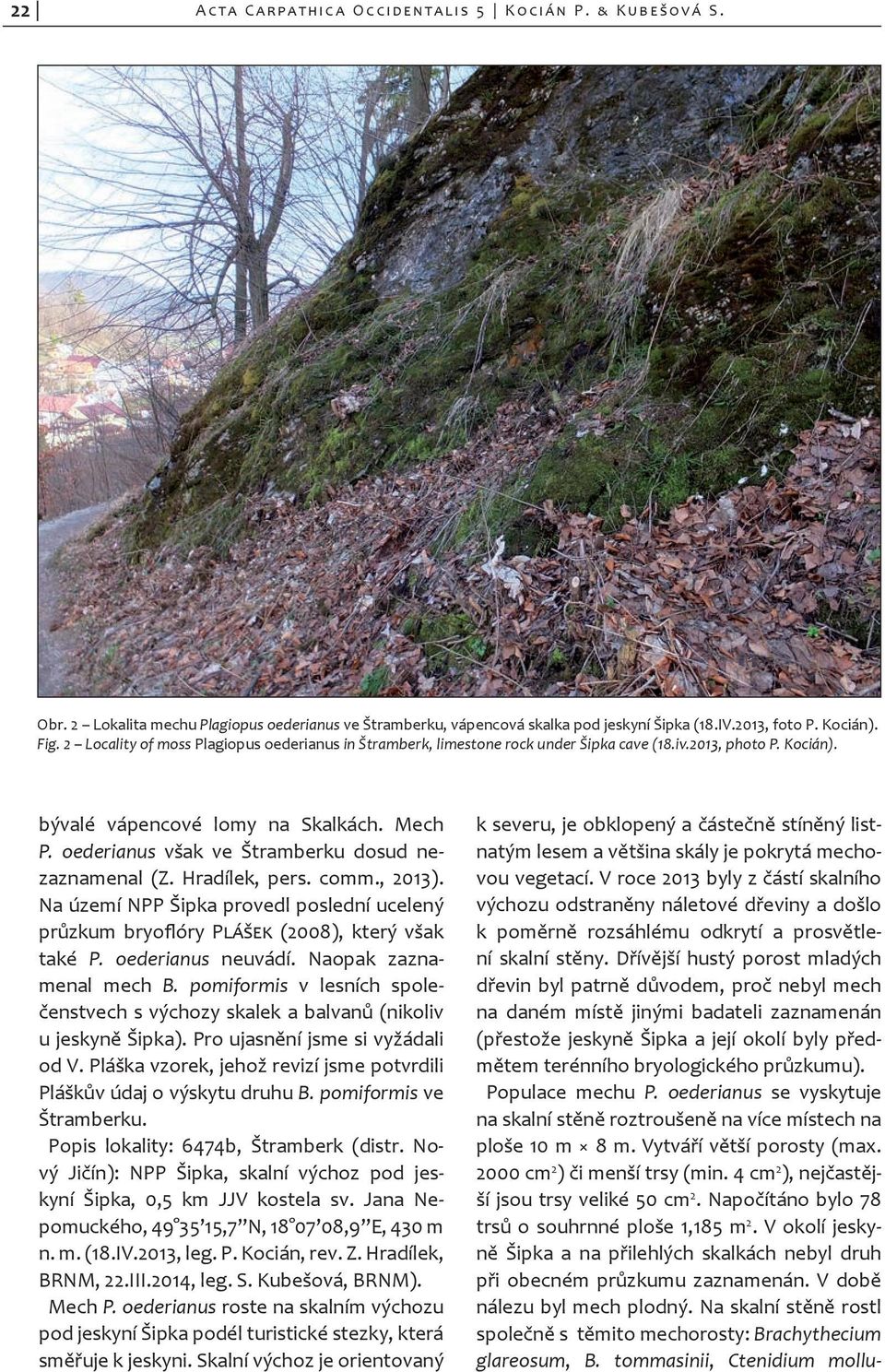 oederianus však ve Štramberku dosud nezaznamenal (Z. Hradílek, pers. comm., 2013). Na území NPP Šipka provedl poslední ucelený průzkum bryoflóry Plášek (2008), který však také P. oede rianus neuvádí.