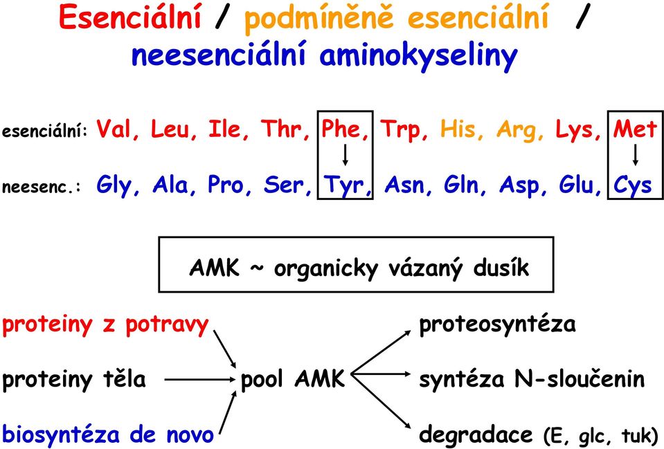 : Gly, Ala, Pro, Ser, Tyr, Asn, Gln, Asp, Glu, Cys AMK ~ organicky vázaný dusík