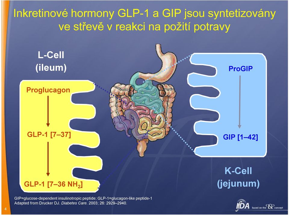 NH 2 ] K-Cell (jejunum) 4 GIP=glucose-dependent insulinotropic peptide;