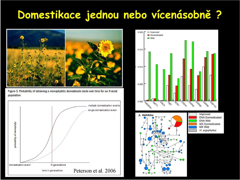 vícenásobně?