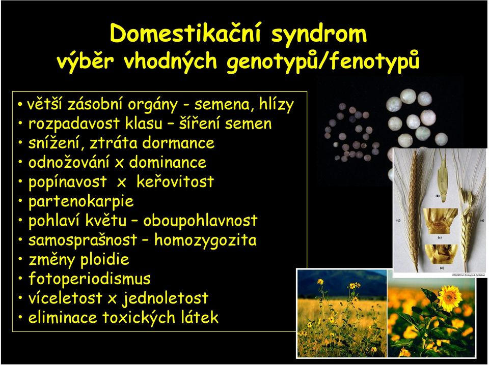 popínavost x keřovitost partenokarpie pohlaví květu oboupohlavnost samosprašnost