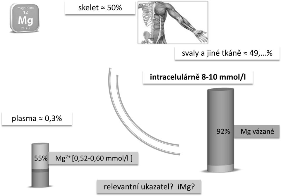 0,3% 92% Mg vázané 55% Mg 2+