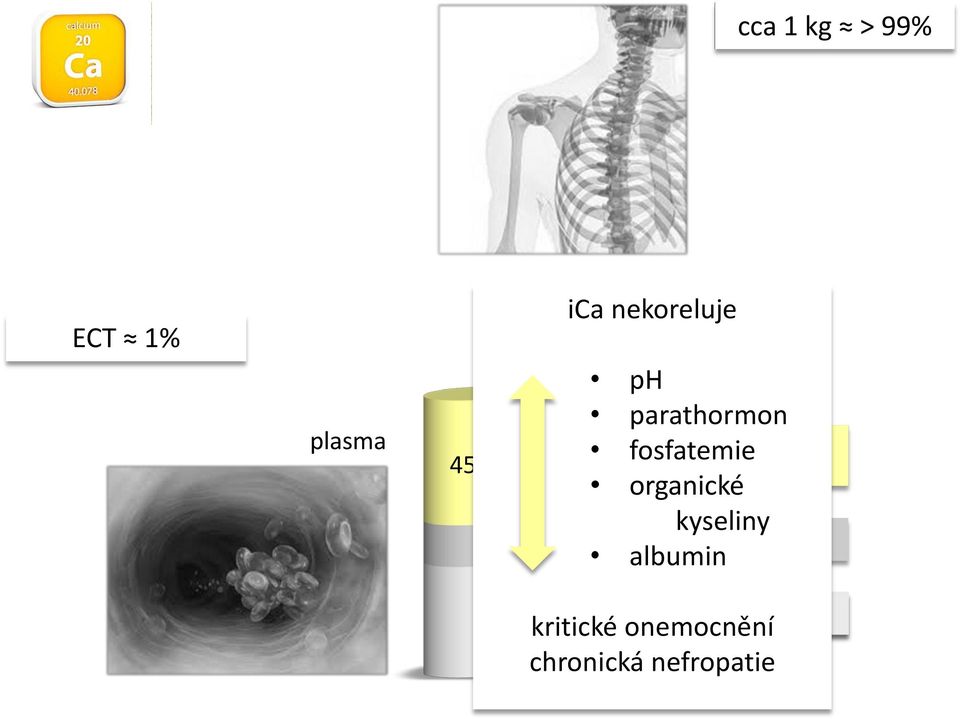 mmol/l] organické kyseliny cheláty albumin ve