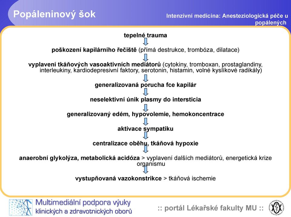 fce kapilár neselektivní únik plasmy do intersticia generalizovaný edém, hypovolemie, hemokoncentrace aktivace sympatiku centralizace oběhu, tkáňová