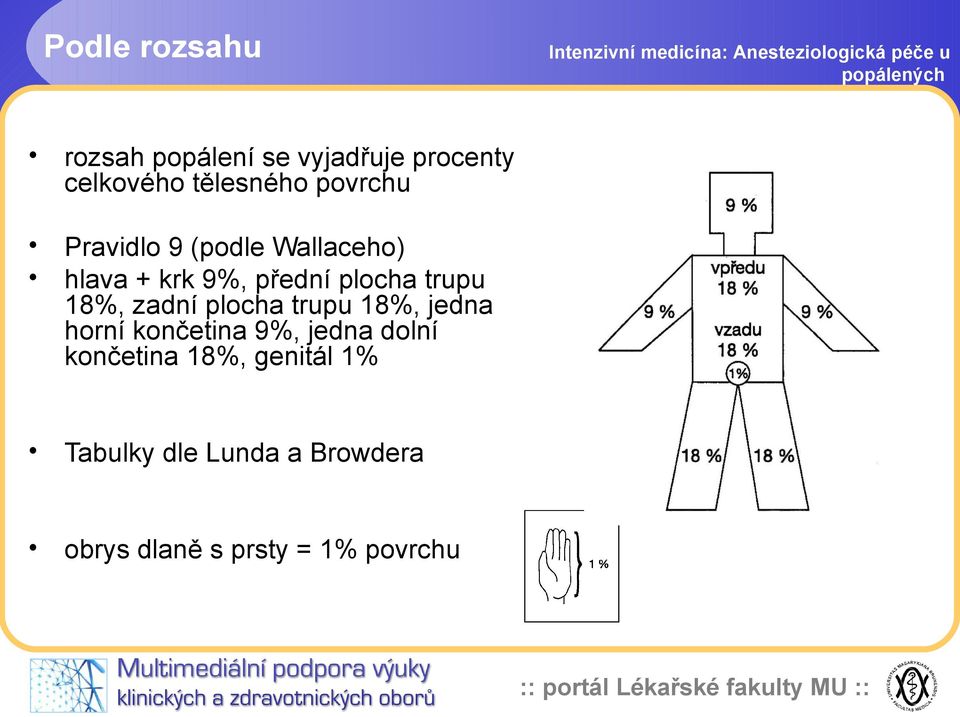 18%, zadní plocha trupu 18%, jedna horní končetina 9%, jedna dolní