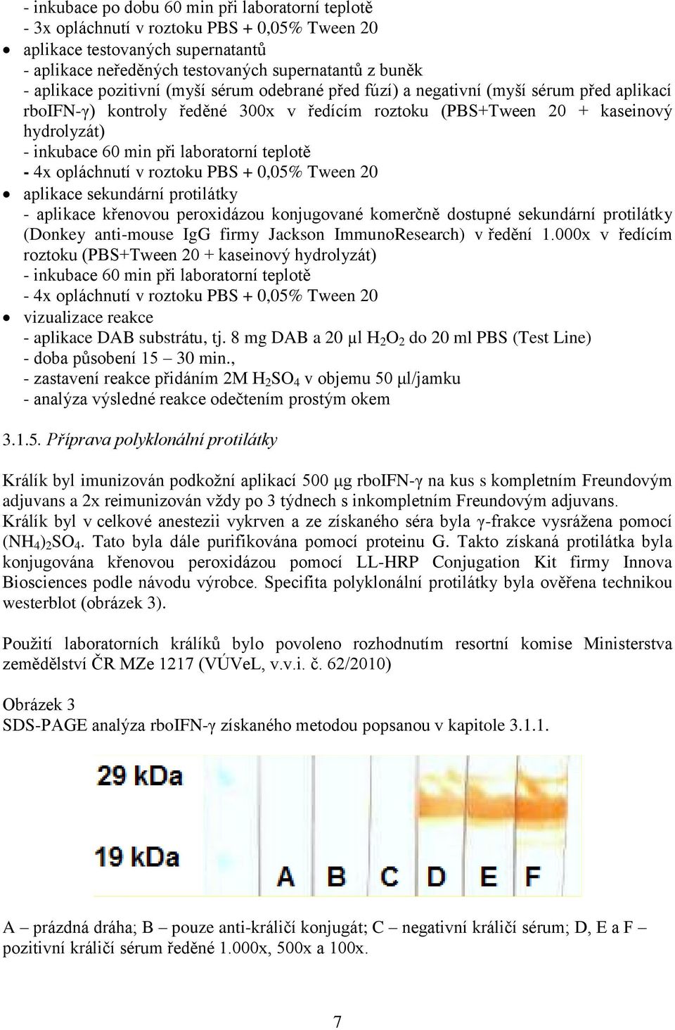 laboratorní teplotě - 4x opláchnutí v roztoku PBS + 0,05% Tween 20 aplikace sekundární protilátky - aplikace křenovou peroxidázou konjugované komerčně dostupné sekundární protilátky (Donkey