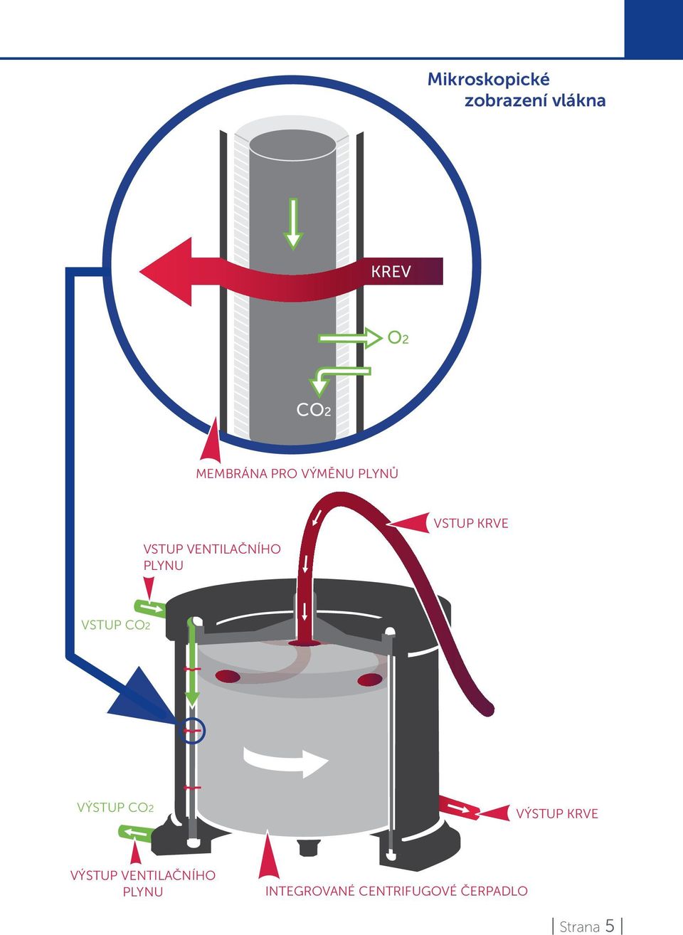 GAS INLET VSTUP CO2 O2 IN VÝSTUP CO2 OUT CO2 BLOOD Výstup OUTLET krve VÝSTUP SWEEP