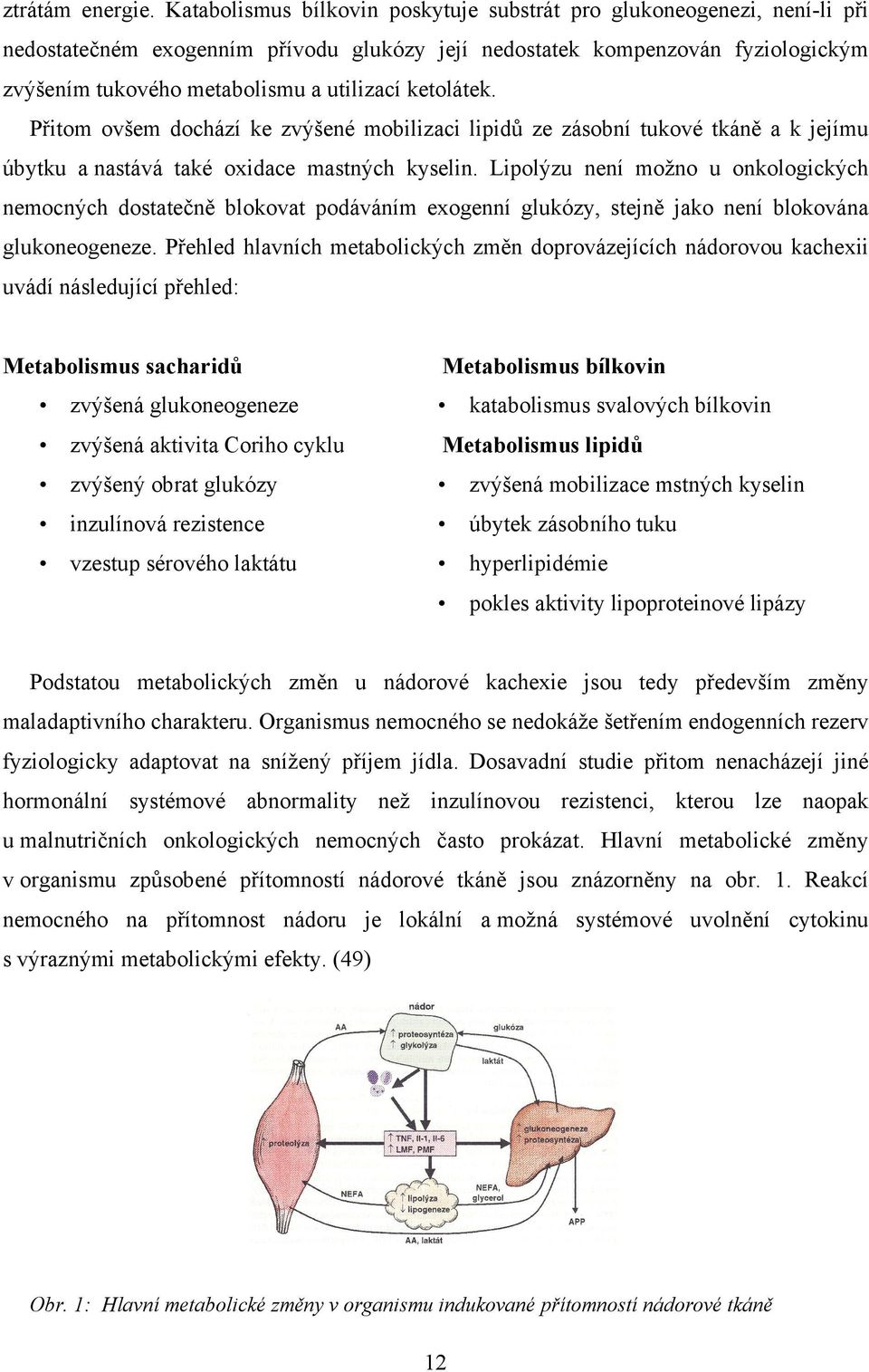 ketolátek. Přitom ovšem dochází ke zvýšené mobilizaci lipidů ze zásobní tukové tkáně a k jejímu úbytku a nastává také oxidace mastných kyselin.