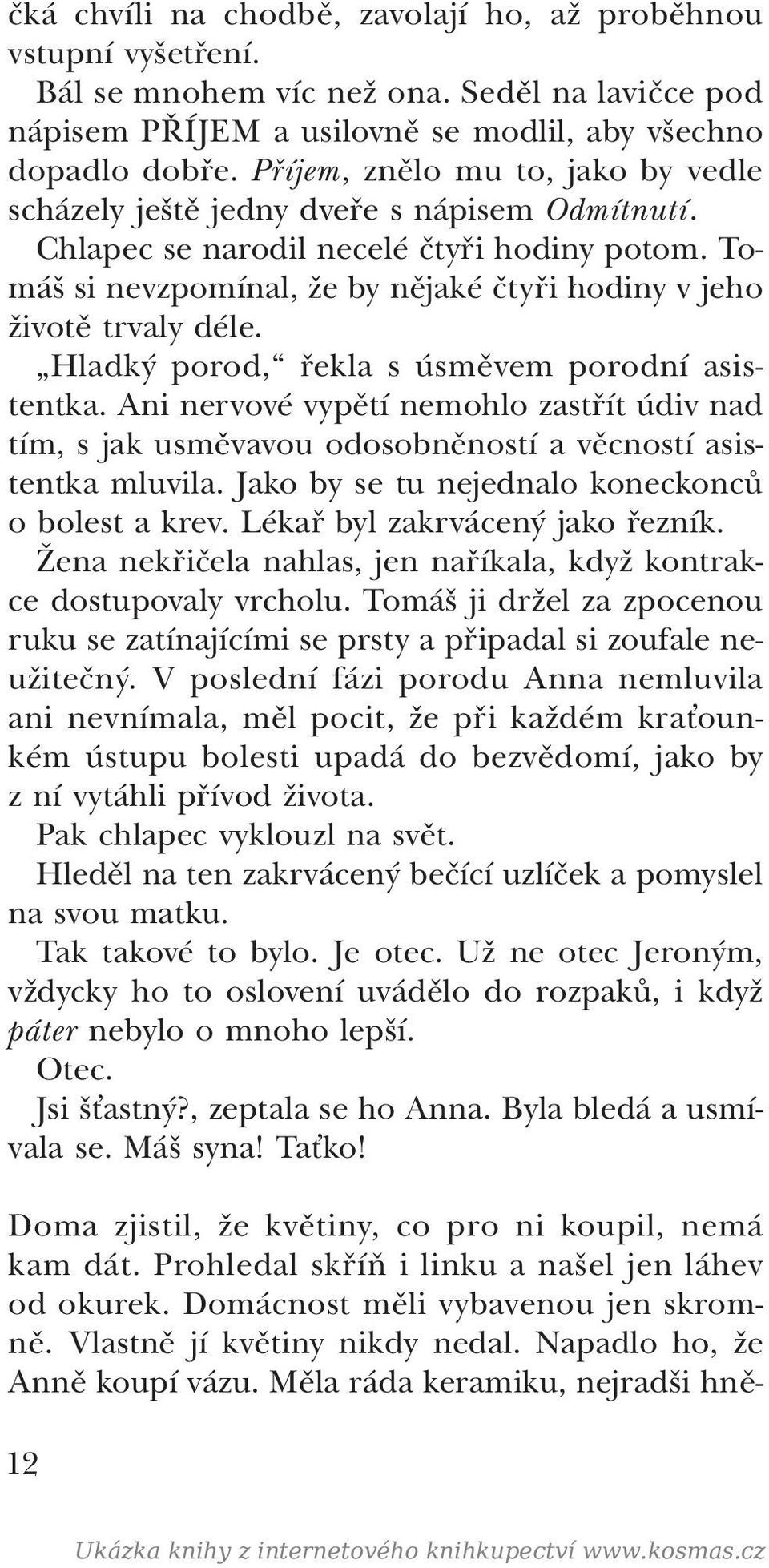 Tomáš si nevzpomínal, že by nějaké čtyři hodiny v jeho životě trvaly déle. Hladký porod, řekla s úsměvem porodní asistentka.
