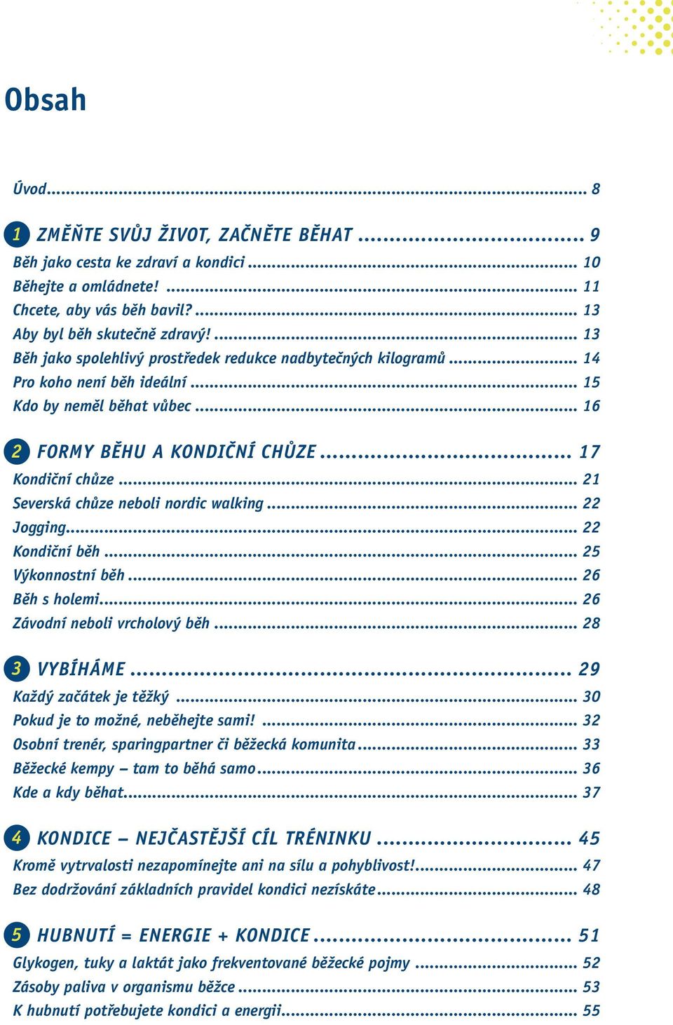 .. 21 Severská chůze neboli nordic walking... 22 Jogging... 22 Kondiční běh... 25 Výkonnostní běh... 26 Běh s holemi... 26 Závodní neboli vrcholový běh... 28 3 VYBÍHÁME... 29 Každý začátek je těžký.