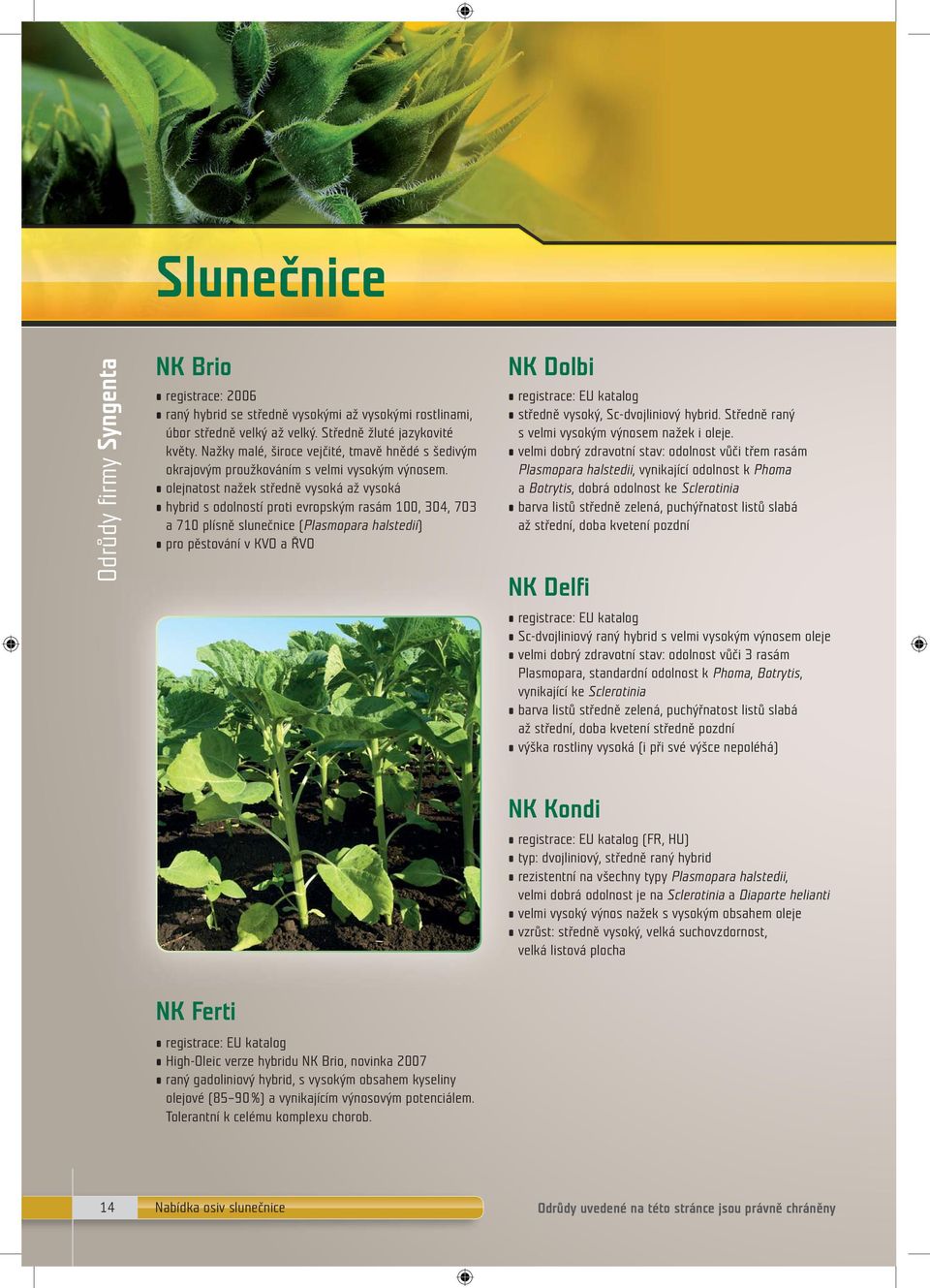 o lejnatost nažek středně vysoká až vysoká hybrid s odolností proti evropským rasám 100, 304, 703 a 710 plísně slunečnice (Plasmopara halstedii) pro pěstování v KVO a ŘVO NK Dolbi registrace: EU