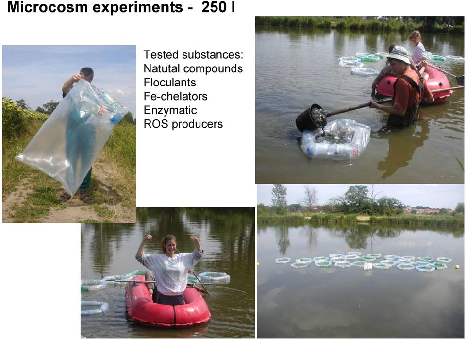 compounds Floculants