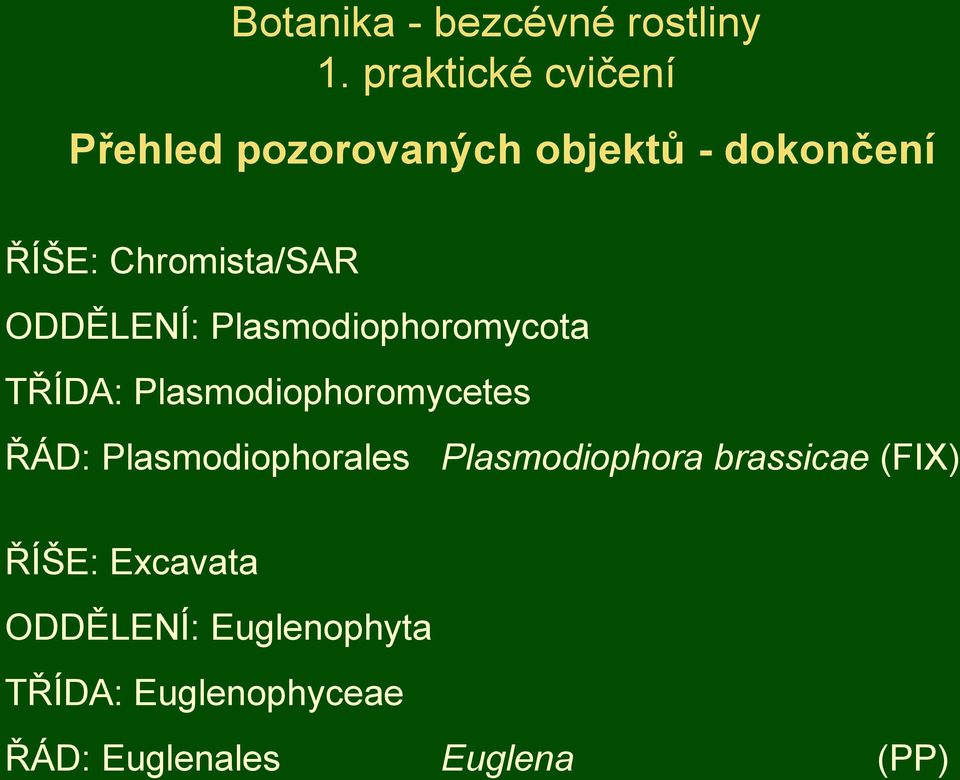 ODDĚLENÍ: Plasmodiophoromycota TŘÍDA: Plasmodiophoromycetes ŘÁD: