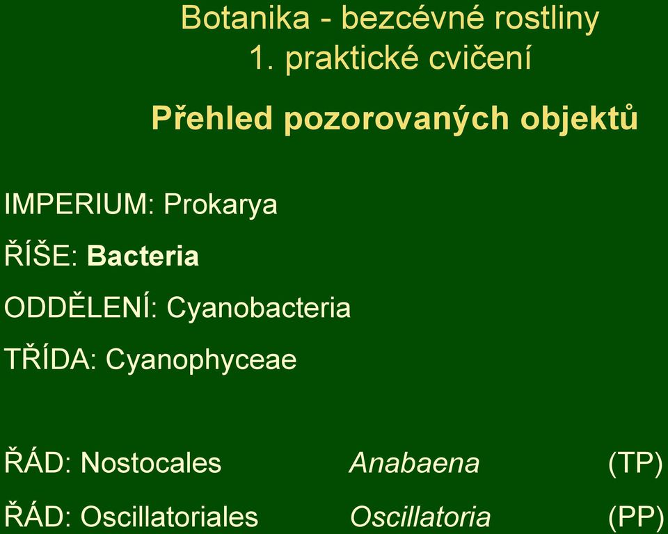 Prokarya ŘÍŠE: Bacteria ODDĚLENÍ: Cyanobacteria TŘÍDA: