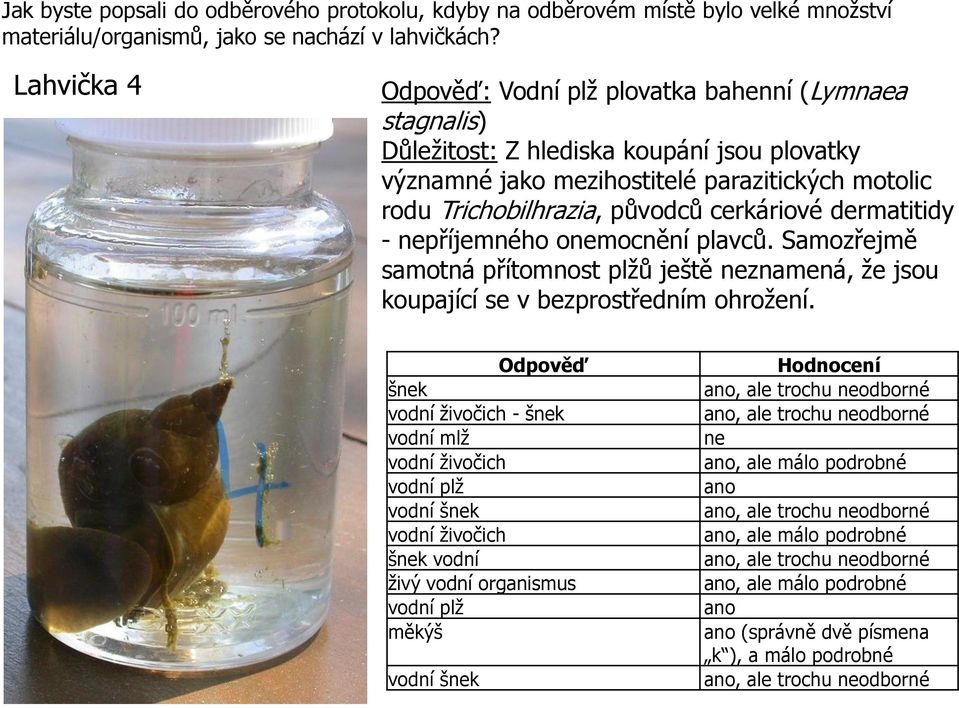 cerkáriové dermatitidy - příjemného omocnění plavců. Samozřejmě samotná přítomnost plžů ještě znamená, že jsou koupající se v bezprostředním ohrožení.