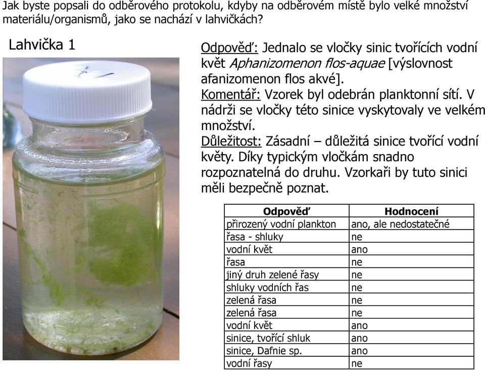 V nádrži se vločky této sinice vyskytovaly ve velkém množství. Důležitost: Zásadní důležitá sinice tvořící vodní květy. Díky typickým vločkám snadno rozpoznatelná do druhu.