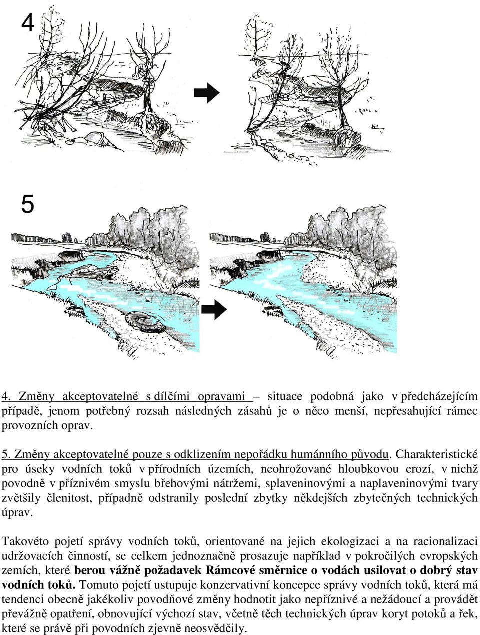 Charakteristické pro úseky vodních toků v přírodních územích, neohrožované hloubkovou erozí, v nichž povodně v příznivém smyslu břehovými nátržemi, splaveninovými a naplaveninovými tvary zvětšily