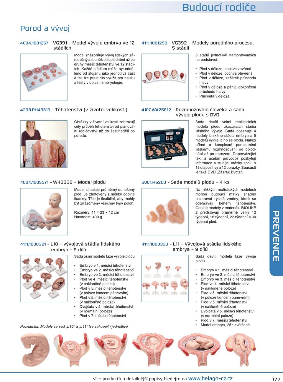 Každé stádium může být odděleno od stojanu jako jednotlivá část a tak lze prakticky využít pro nauku a testy v oblasti embryologie.