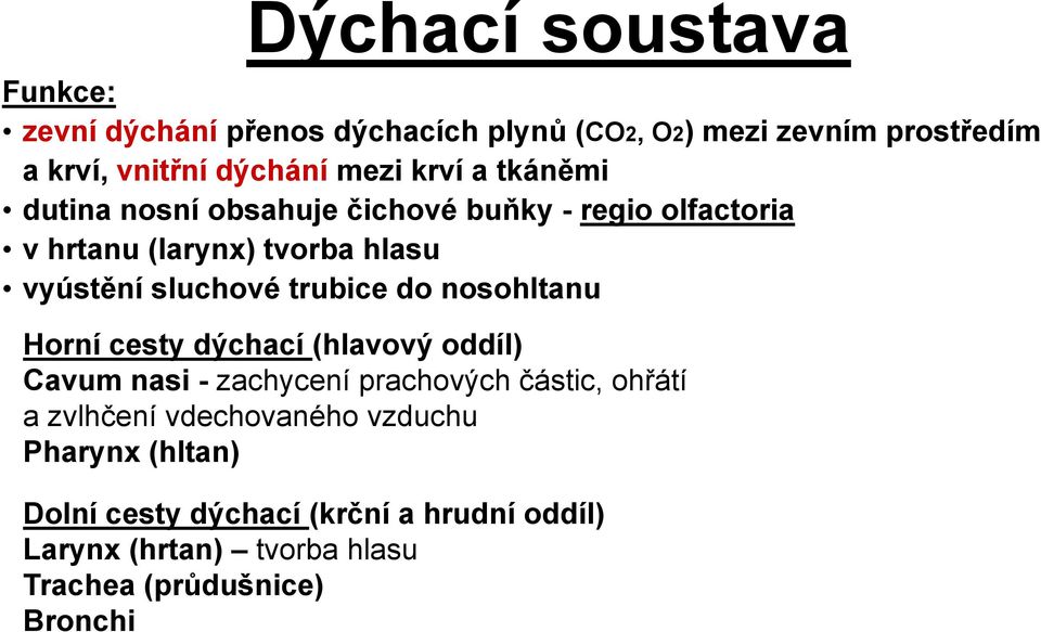 trubice do nosohltanu Horní cesty dýchací (hlavový oddíl) Cavum nasi - zachycení prachových částic, ohřátí a zvlhčení