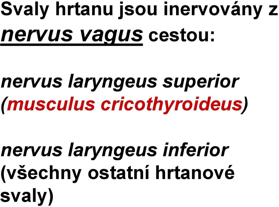 (musculus cricothyroideus) nervus