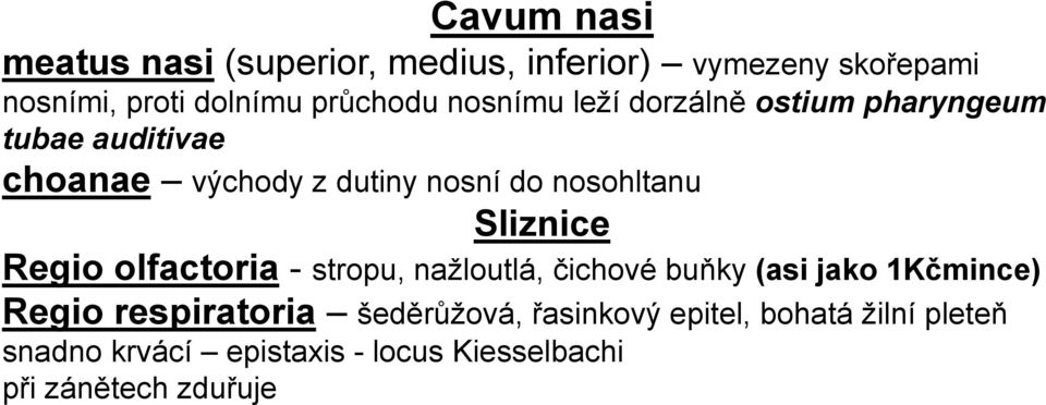 Sliznice Regio olfactoria - stropu, nažloutlá, čichové buňky (asi jako 1Kčmince) Regio respiratoria