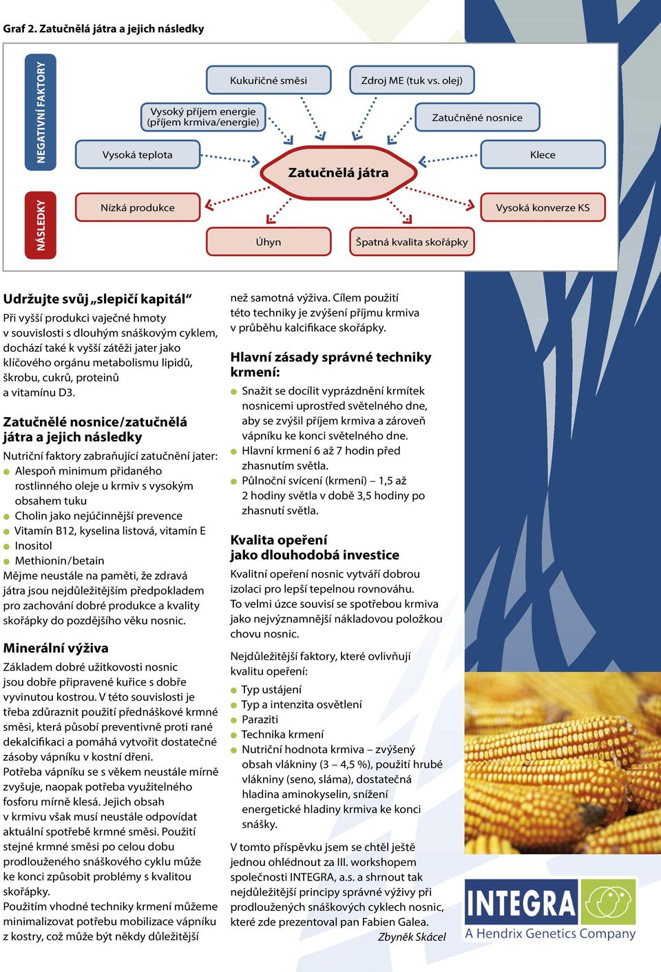 cyklem, dochází také k vyšší zátěži jater jako klíčového orgánu metabolismu lipidů, škrobu, cukrů, proteinů a vitamínu D3.