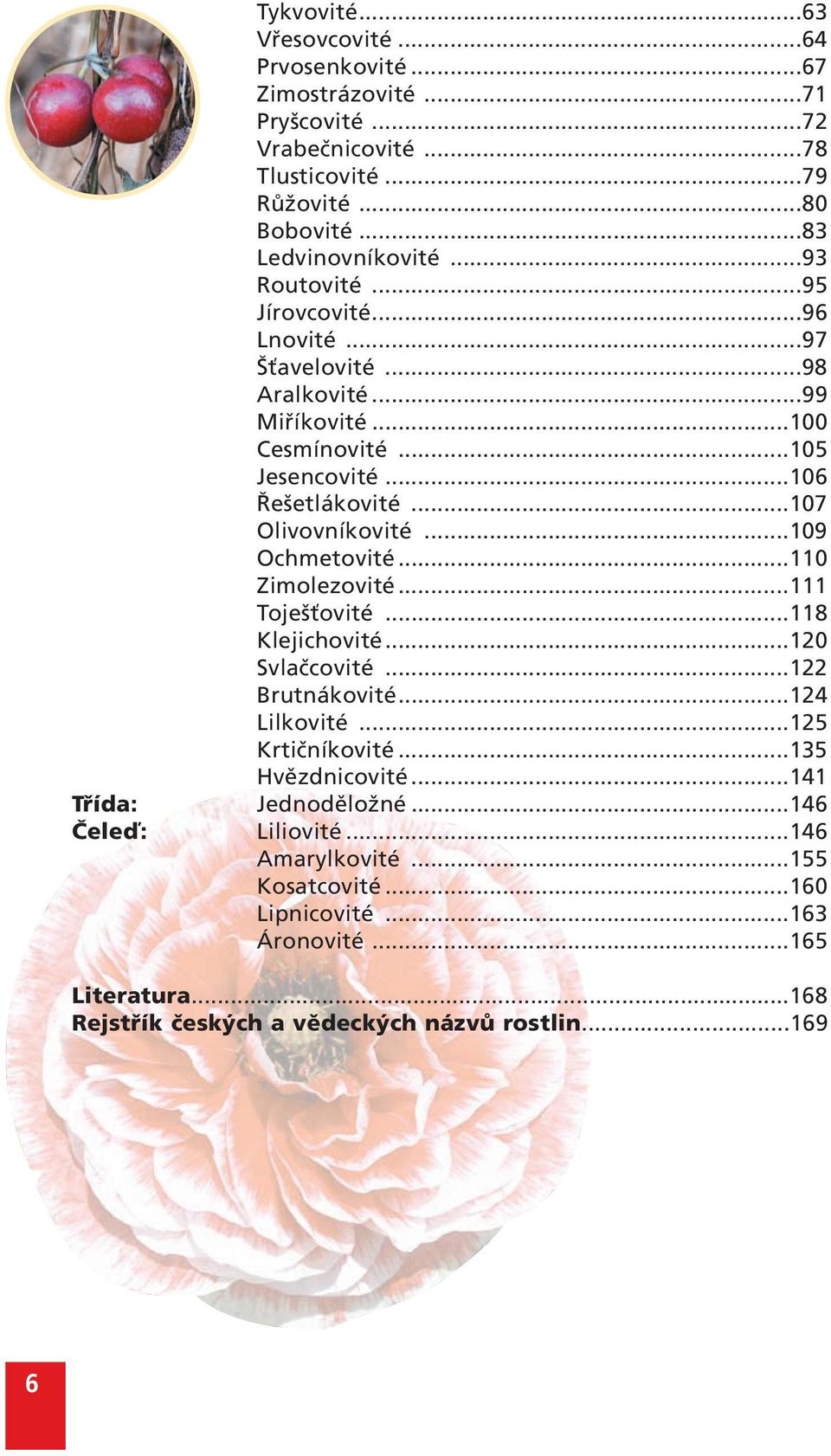 ..109 Ochmetovité...110 Zimolezovité...111 Toješťovité...118 Klejichovité...120 Svlačcovité...122 Brutnákovité...124 Lilkovité...125 Krtičníkovité...135 Hvězdnicovité.