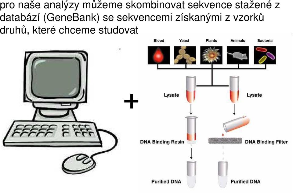 databází (GeneBank) se sekvencemi