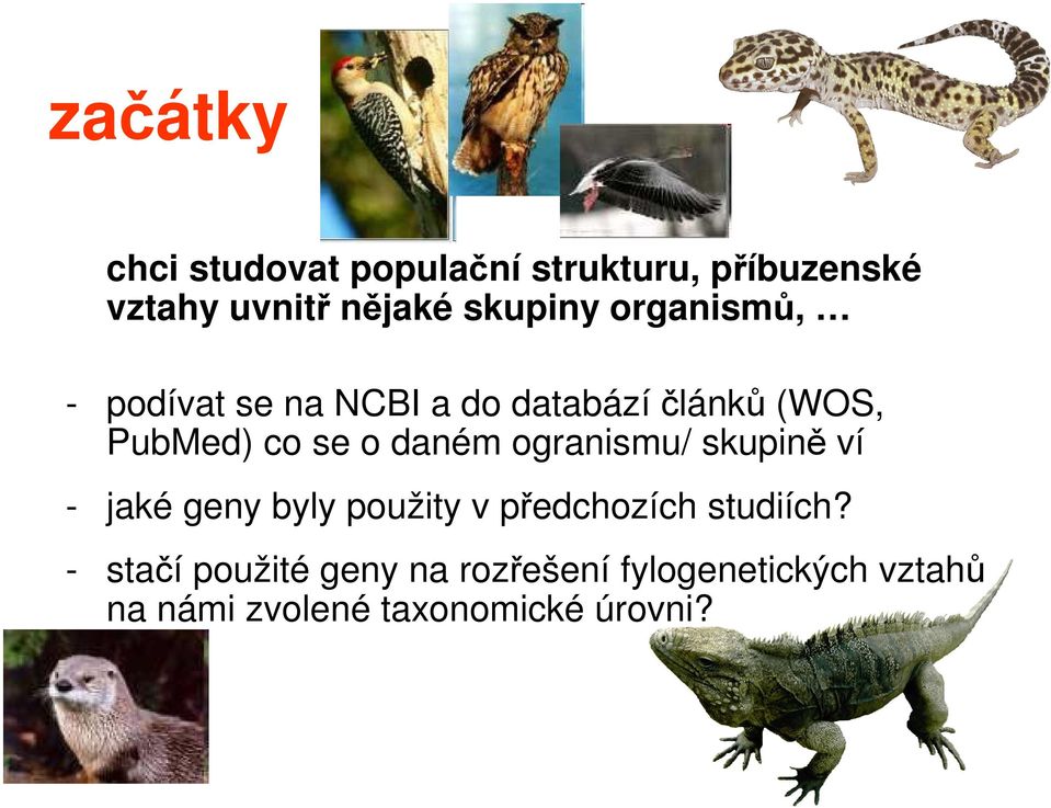 o daném ogranismu/ skupině ví - jaké geny byly použity v předchozích studiích?