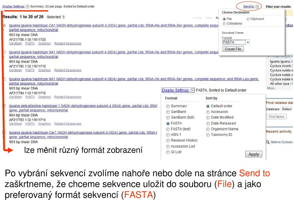 Send to zaškrtneme, že chceme sekvence uložit do